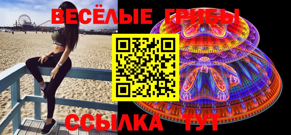 Галлюциногенные грибы Psilocybe  Вход с VPN  закладка  Корсаков 